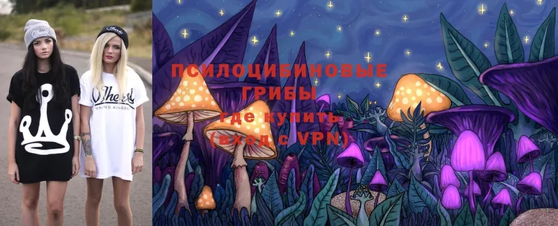 MEGA как зайти  наркошоп  Дмитровск  Галлюциногенные грибы Cubensis 