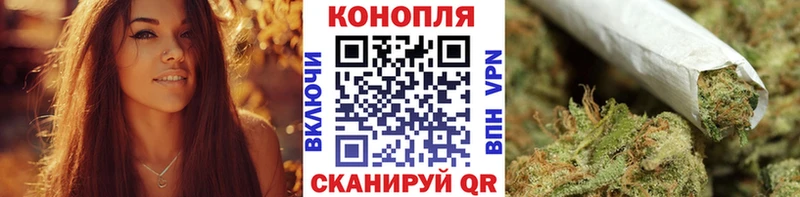 где найти   Дмитровск  Шишки марихуана ГИДРОПОН 